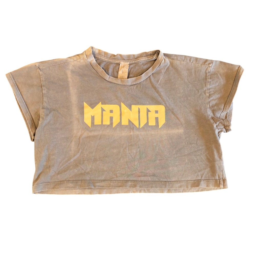 Fall Out Boy Mania Tour Crop Top Grey Distressed Graphic Tee Small